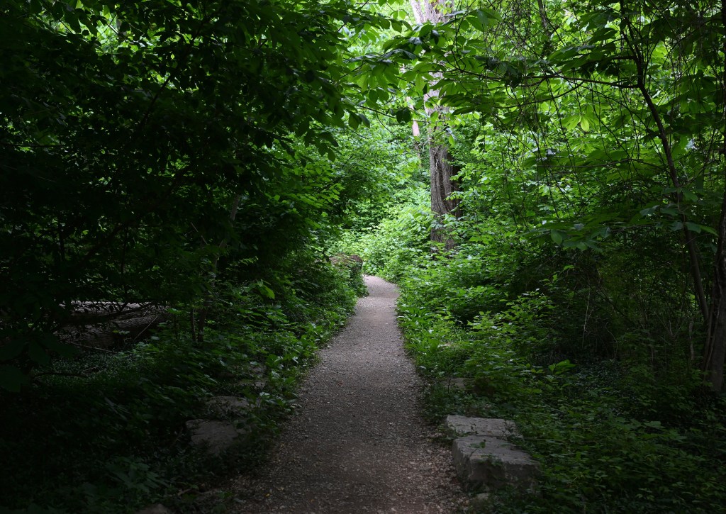 This is Not a&nbsp;Path